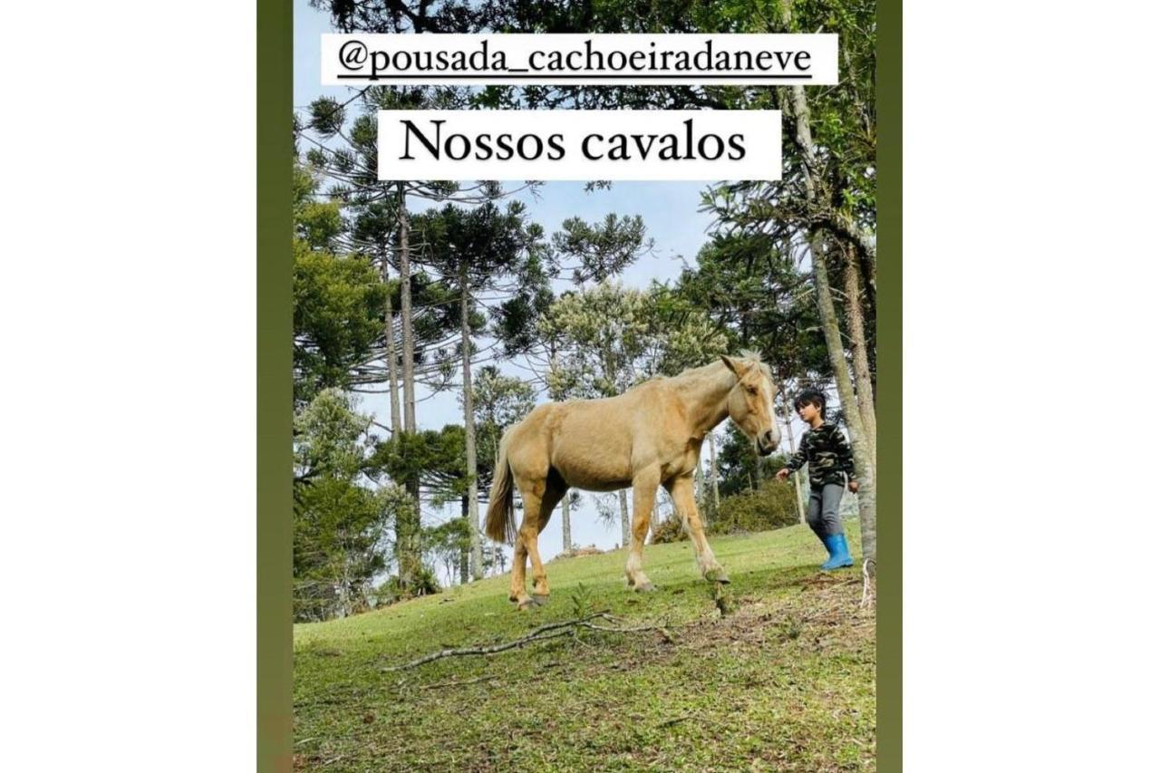 Floresta Secreta- Pousada Cachoeira Da Neve อูรูบิซิ ภายนอก รูปภาพ