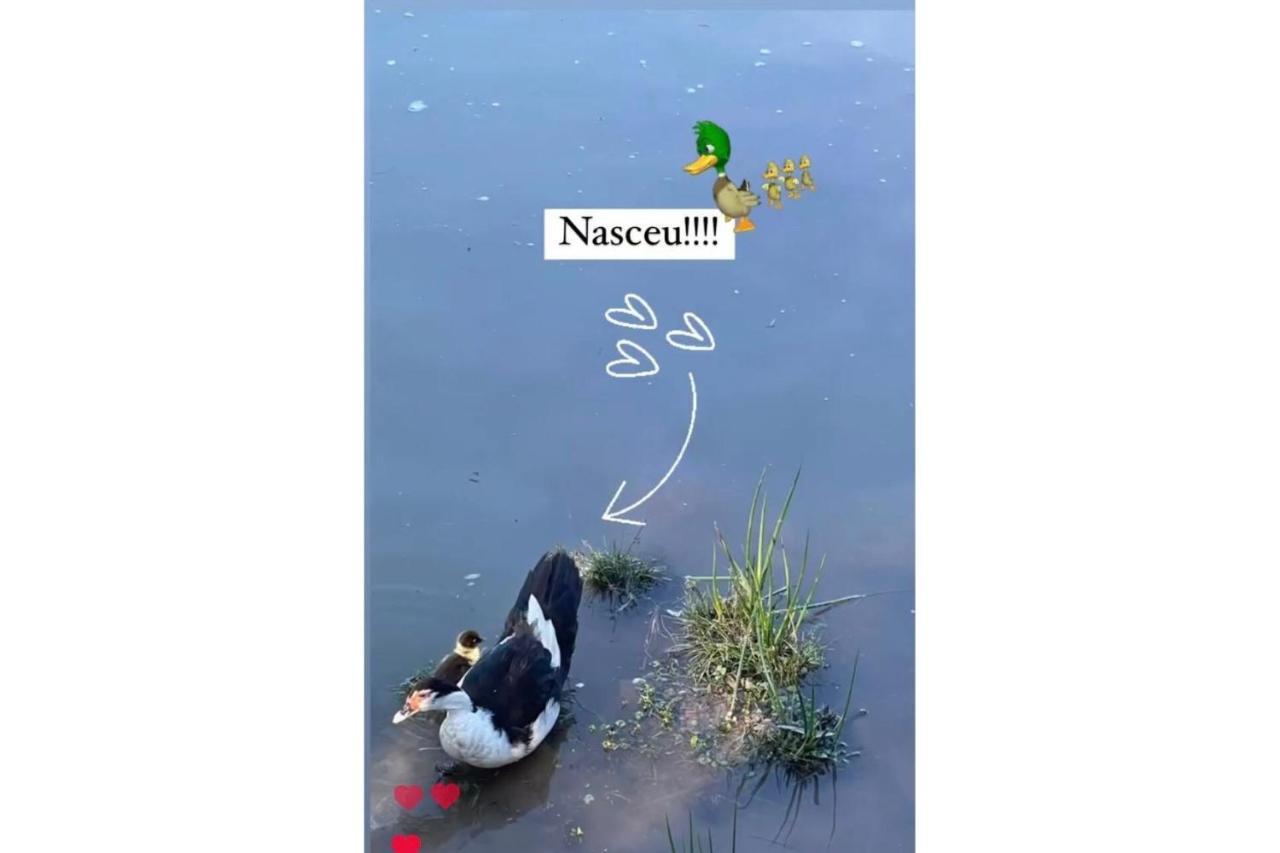 Floresta Secreta- Pousada Cachoeira Da Neve อูรูบิซิ ภายนอก รูปภาพ