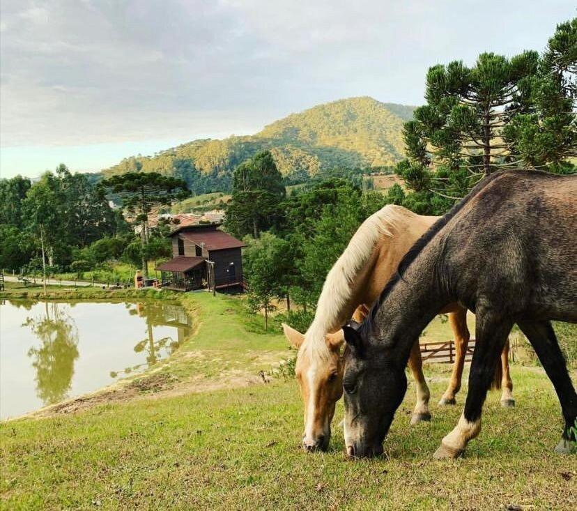 Floresta Secreta- Pousada Cachoeira Da Neve อูรูบิซิ ภายนอก รูปภาพ