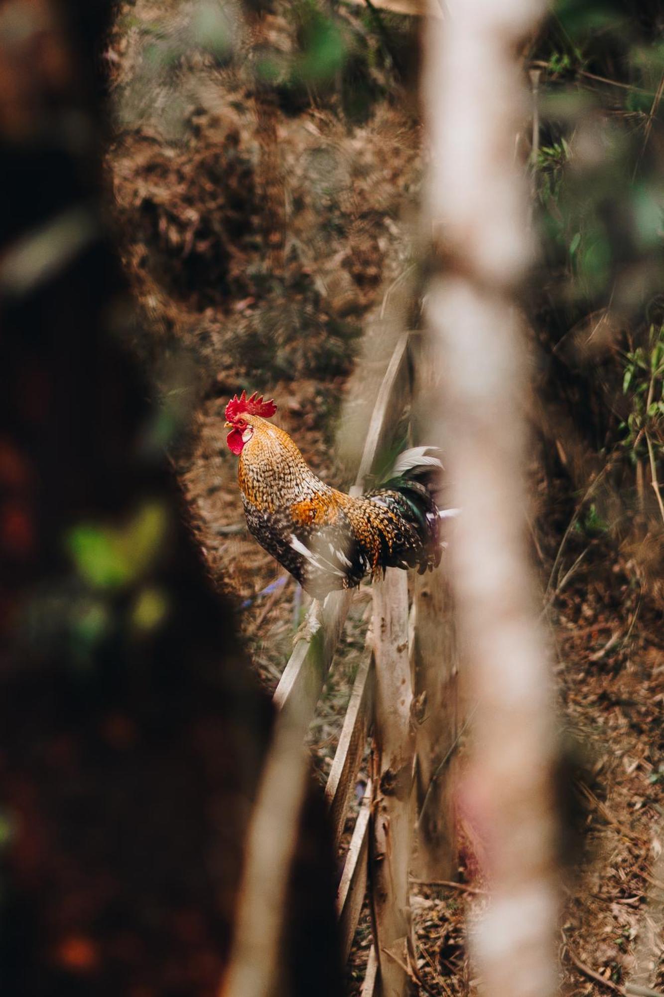 Floresta Secreta- Pousada Cachoeira Da Neve อูรูบิซิ ภายนอก รูปภาพ