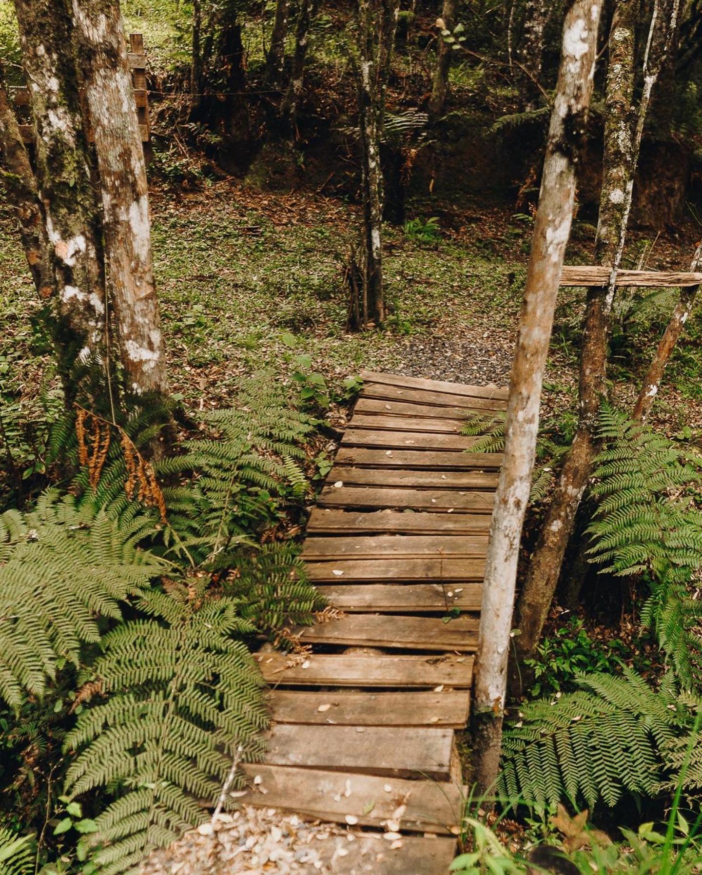 Floresta Secreta- Pousada Cachoeira Da Neve อูรูบิซิ ภายนอก รูปภาพ